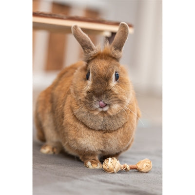 Trixie Satz Hanteln Aus Rindenholz/Gras