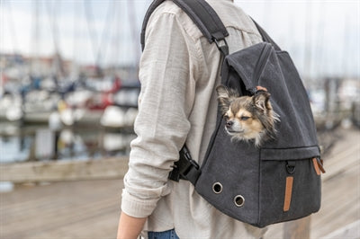 Trixie Be Nordic Hund Rucksack Bjorn Schwarz