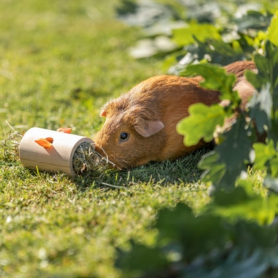 Trixie Snackbrötchen Holz Unbehandelt